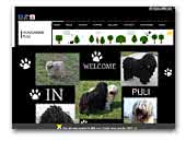 pulizagreb.wixsite.com/arnika-tibor