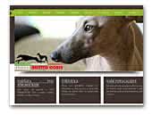 Assetto Corse Italian greyhound kennel