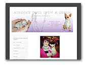 Athena's Once Upon A Dream Chihuahua's