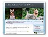 'Od Masumi' Australian Silky Terrier kennel