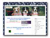 Auziway Australian Shepherds & Chinese Crested Dogs