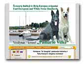 Pamario Vilkė - White Swiss, German and East European shepherds