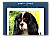 Babbler's Cavalier King Charles Spaniel