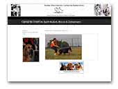 Badea Gheo Dobermanns & Bloodhounds