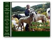Ballygran Irish Wolfhounds