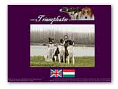 Triumphatpr FCI Barzoi Kennel