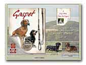 Gaspet Dachshunds