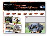 Allevamento Beauceron delle Ombre di Fuoco