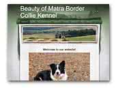 Beauty of Mátra Border Collie Kennel