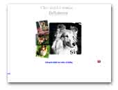 Shelties and Kooikerhondje kennel Bellamoon