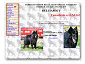 Belliamici chien de berger belgue