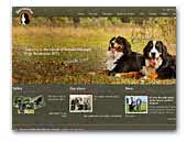 Bernevirtus bernese mountain dog