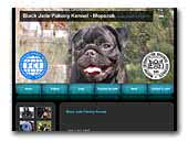 Black Jade Pakony Kennel