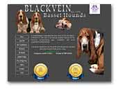 Blackvein Basset Hounds