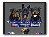 Bohemia Col-Bri Rottweiler Kennel