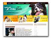 Devon Exe kennel - border collie