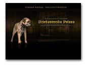 Dziekanowska Polana Border Terrier