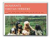 Boshanti Tibetan Terriers