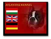 Atlantisz Boston Terrier Kennel
