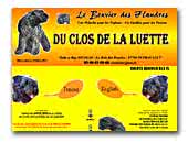 ../bouviersdesflandres-chiots.com