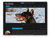 Bo Valcone Dobermann Kennel