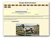 braquedubourbonnais.info