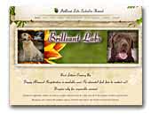 Brilliant Labs Labrador Kennel