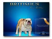 Britishus Show Bulldogs