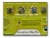 Magic Force - Bullmastiff kennel