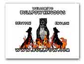 Bullpow Kingdogs