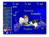 Sinshine Butterfly Papillon