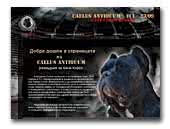 Caelus Antiquum - Cane Corso kennel