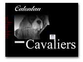 Calonlan Cavaliers