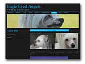Eagle Eyed Angels - Chinese Cresteds