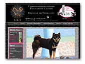 Go Chuken Kiku Kensha - Shiba inu breeder