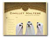 Cimillet Maltese