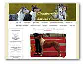 Cinnaberry's smooth collies