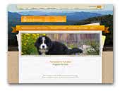 Kennel Ciurliu Kamane Bernese Mountain Dog