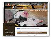Contis vom Goldberg Continental Bulldogs