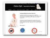 Coton Cph - Coton de Tulear breeder