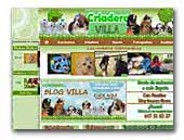 Criadero Villa Maltes, shihtzu y yorkshire