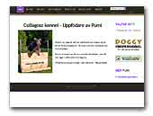 Csillagosz Pumi Kennel