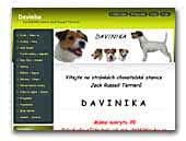 Davinika - Jack Russell Terrier