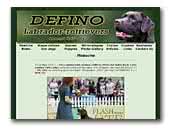 Defino - labrador kennel