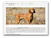 Delonga Bohemia - Rövidszőrű Magyar Vizsla Kennel