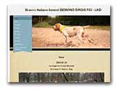 Demono Širdis Bracco Italiano kennel