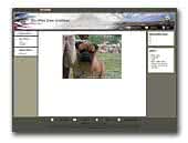 Du mas des grottes Bullmastiff