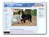 kennel Berner du Roi des Lacs