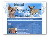 Dutch Angels Chihuahuas