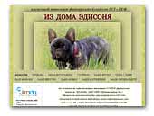 Iz Doma Edisonya Kennel French Bulldogs